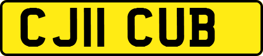 CJ11CUB