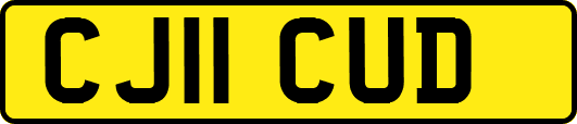 CJ11CUD