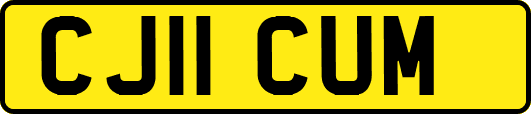 CJ11CUM