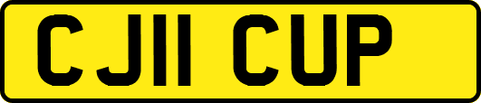CJ11CUP