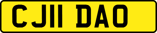 CJ11DAO