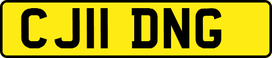 CJ11DNG