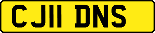 CJ11DNS