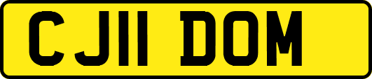 CJ11DOM