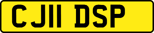 CJ11DSP