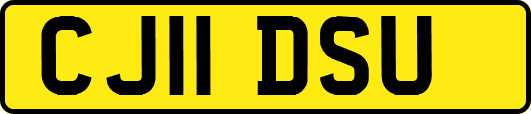 CJ11DSU