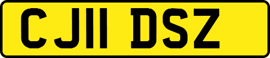 CJ11DSZ