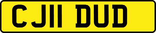 CJ11DUD