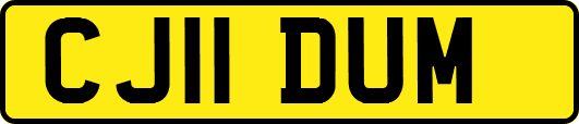 CJ11DUM