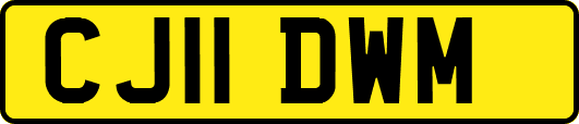 CJ11DWM