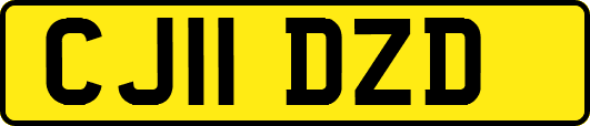 CJ11DZD