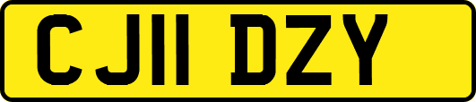 CJ11DZY