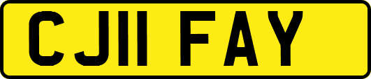 CJ11FAY