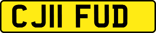 CJ11FUD