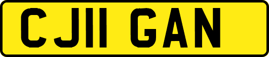 CJ11GAN