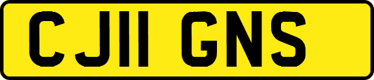 CJ11GNS
