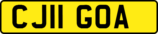 CJ11GOA