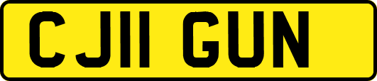 CJ11GUN