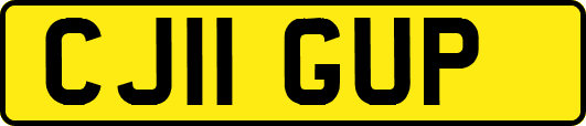 CJ11GUP