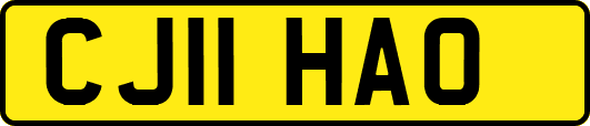 CJ11HAO