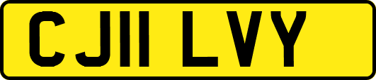 CJ11LVY