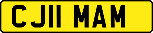 CJ11MAM