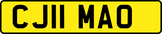 CJ11MAO