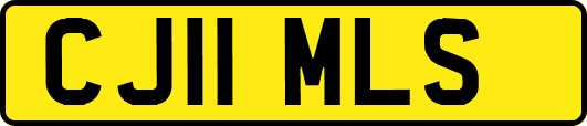 CJ11MLS