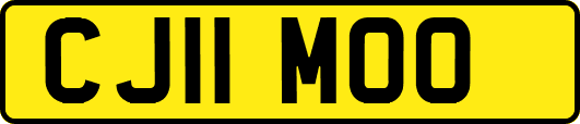 CJ11MOO