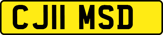 CJ11MSD