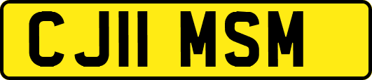 CJ11MSM