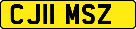 CJ11MSZ