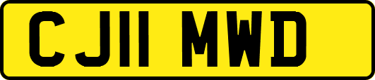 CJ11MWD