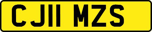 CJ11MZS