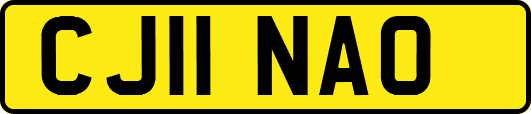 CJ11NAO