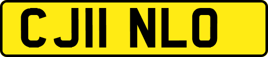CJ11NLO
