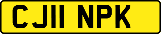 CJ11NPK
