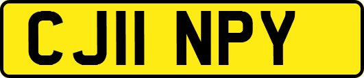 CJ11NPY