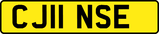 CJ11NSE