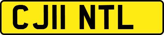 CJ11NTL