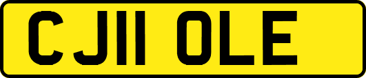 CJ11OLE
