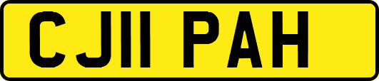 CJ11PAH