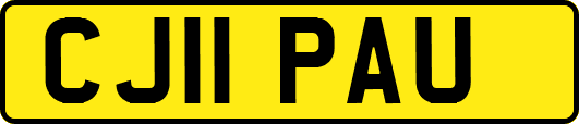 CJ11PAU