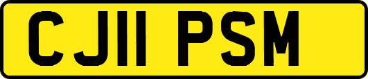 CJ11PSM
