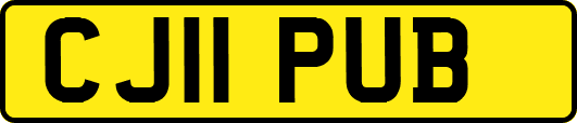 CJ11PUB