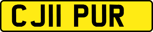 CJ11PUR