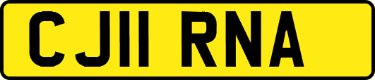 CJ11RNA
