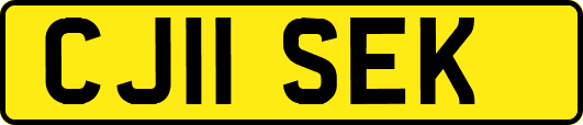 CJ11SEK