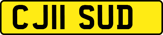 CJ11SUD