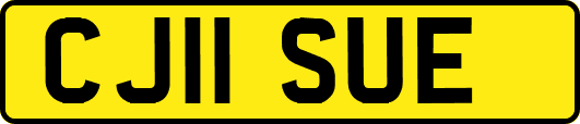 CJ11SUE